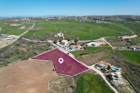 Field for sale in Kathikas, Paphos - 5
