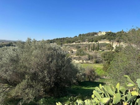 Residential Field for sale in Psathi, Paphos - 10