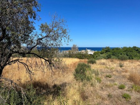 Development Land for sale in Pomos, Paphos - 4