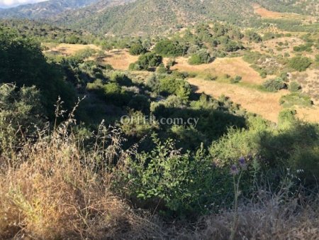 Agricultural Field for sale in Kapileio, Limassol - 2