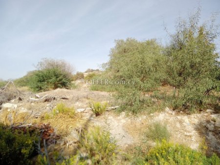 Field for sale in Agia Paraskevi, Limassol - 4