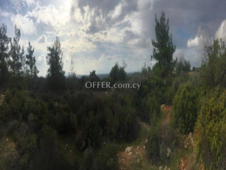 Field for sale in Souni-Zanakia, Limassol - 2