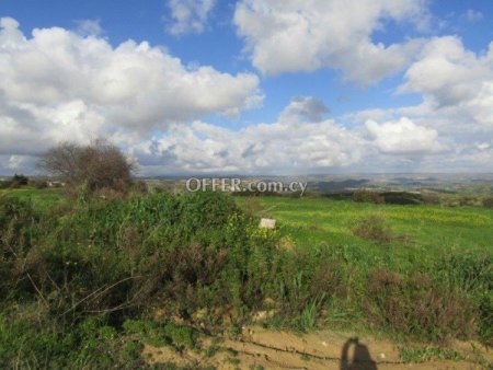 Field for sale in Pissouri, Limassol - 5