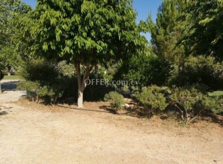 Agricultural Field for sale in Asgata, Limassol - 9