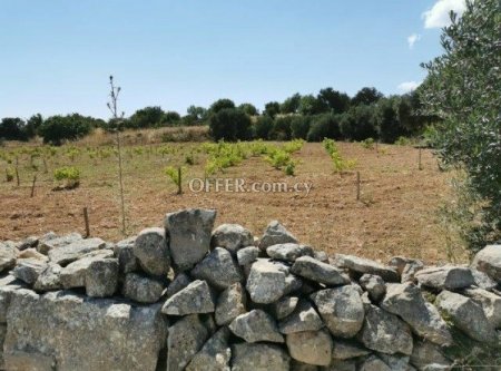 Residential Field for sale in Pachna, Limassol - 4
