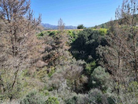 Agricultural Field for sale in Kalo Chorio, Limassol - 5