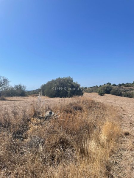 Agricultural Field for sale in Parekklisia, Limassol - 2