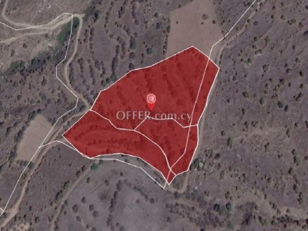 Agricultural Field for sale in Pentalia, Paphos - 2