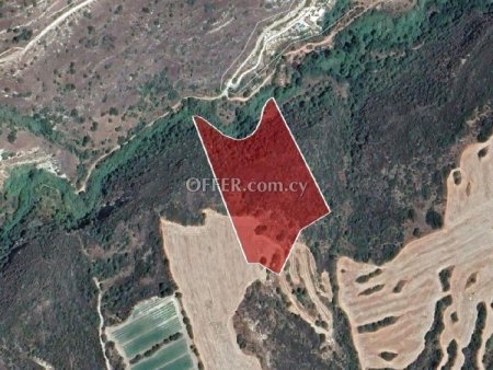 Field for sale in Kritou Tera, Paphos - 4