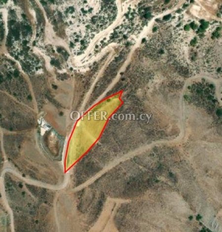 Field for sale in Pegeia, Paphos - 2