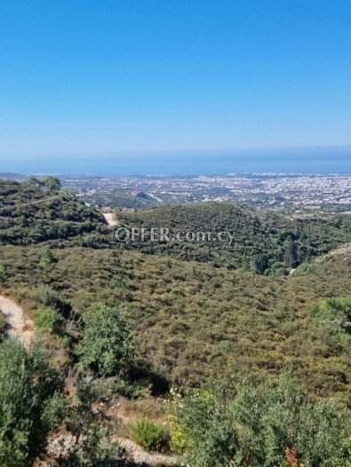 Residential Field for sale in Tsada, Paphos - 2