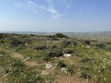 Agricultural Field for sale in Anarita, Paphos - 8