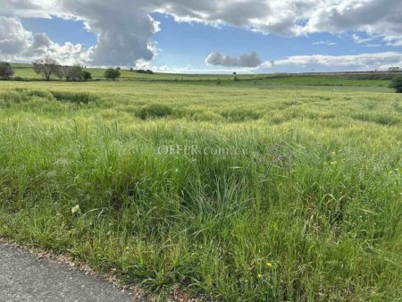Agricultural Field for sale in Anarita, Paphos - 3