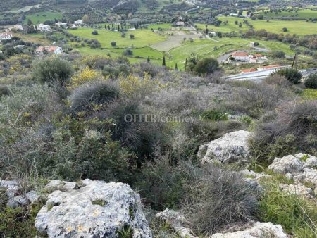 Field for sale in Steni, Paphos - 6