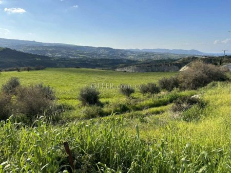 Agricultural Field for sale in Steni, Paphos - 9