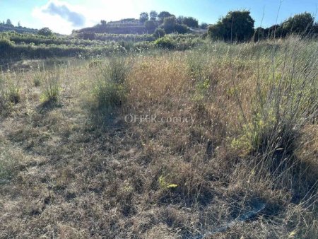 Agricultural Field for sale in Kallepia, Paphos - 8