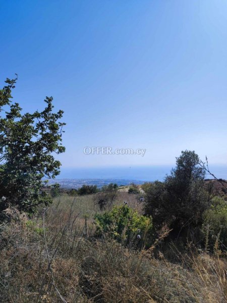 Residential Field for sale in Koili, Paphos - 3