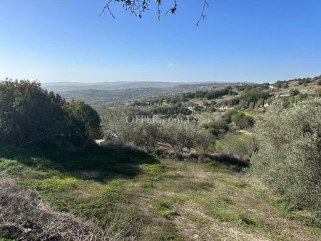 Residential Field for sale in Psathi, Paphos - 9