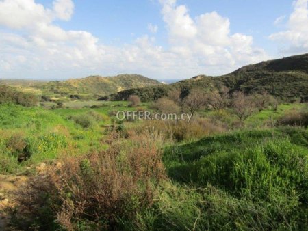 Field for sale in Pissouri, Limassol - 4