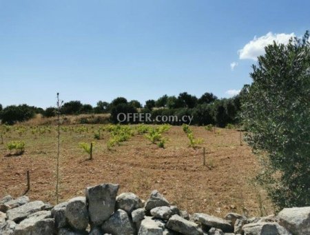 Residential Field for sale in Pachna, Limassol - 3
