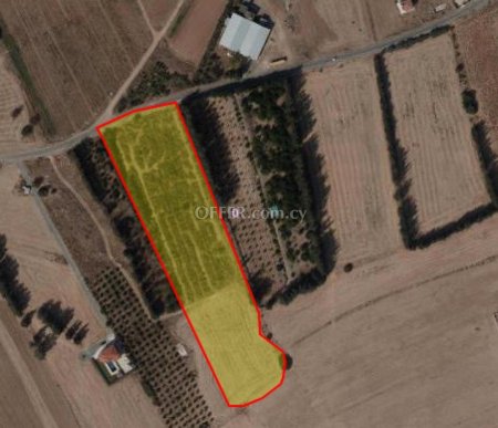 Residential Field for sale in Kouklia, Paphos - 2