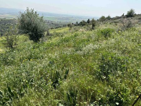 Agricultural Field for sale in Anarita, Paphos - 7