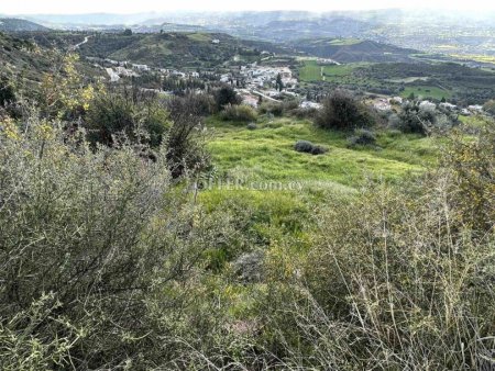 Field for sale in Steni, Paphos - 5