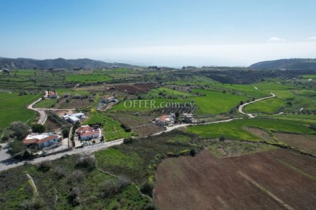 Field for sale in Kathikas, Paphos - 3