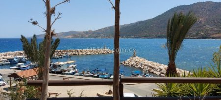 4 Bed Detached Villa for sale in Pomos, Paphos - 7
