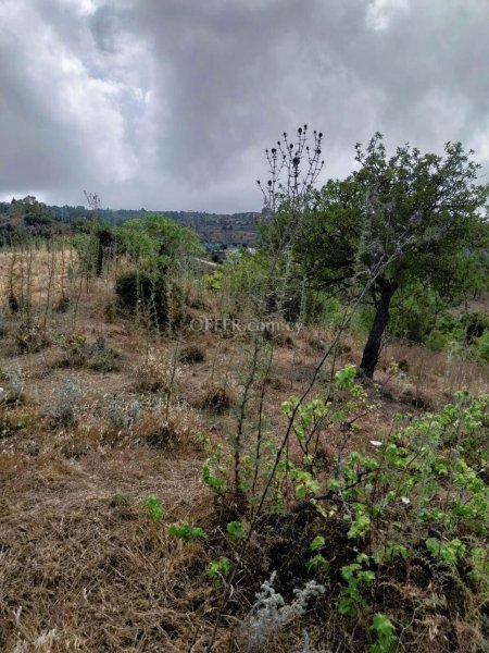 Development Land for sale in Drousia, Paphos - 3