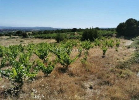 Residential Field for sale in Pachna, Limassol - 2
