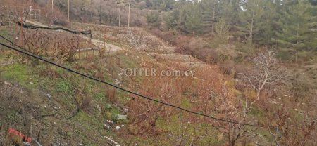 Field for sale in Dymes, Limassol - 7