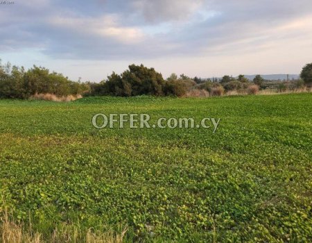 Land / Plot - For Sale - Limassol