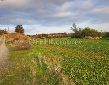 Land / Plot - For Sale - Limassol - 3