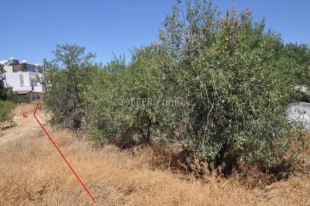 Residential Field for sale in Prodromi, Paphos - 6
