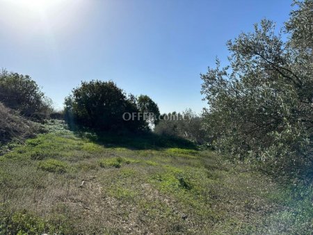 Residential Field for sale in Psathi, Paphos - 6