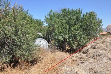 Residential Field for sale in Prodromi, Paphos - 5