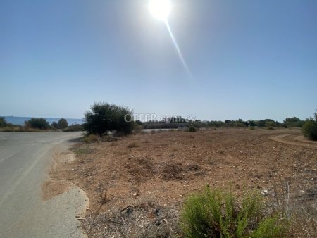 Field for sale in Pentakomo, Limassol - 4