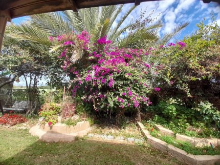 3 Bed Detached House for sale in Psematismenos, Larnaca - 4