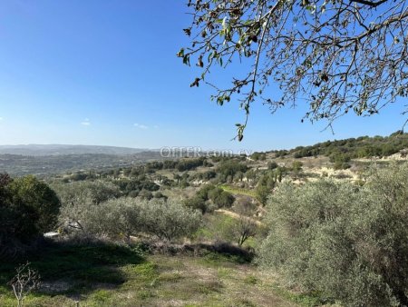 Residential Field for sale in Psathi, Paphos - 4