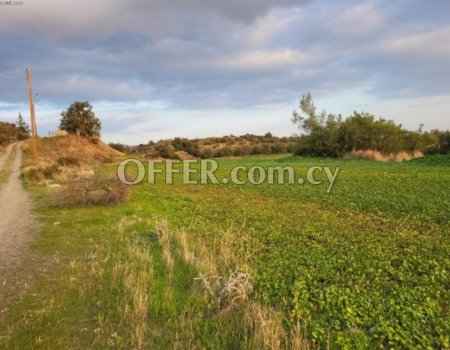 Land / Plot - For Sale - Limassol