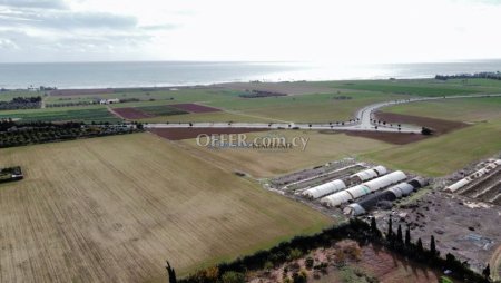 Field in Softades, Larnaca - 3