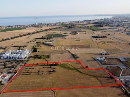 Shared field in Pyla Larnaca