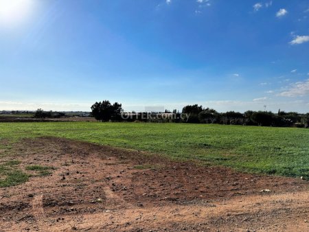 Agricultural Field in Sotira - 10