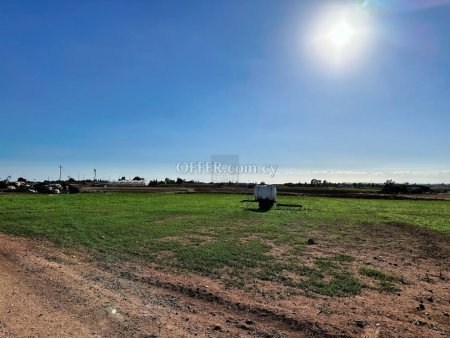Agricultural Field in Sotira - 9