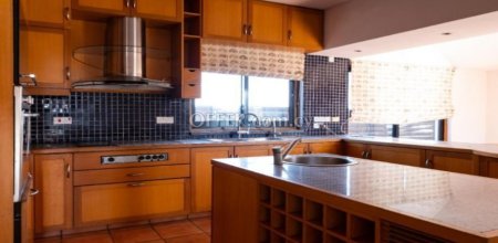 New For Sale €1,100,000 Villa 4 bedrooms, Detached Strovolos Nicosia - 10
