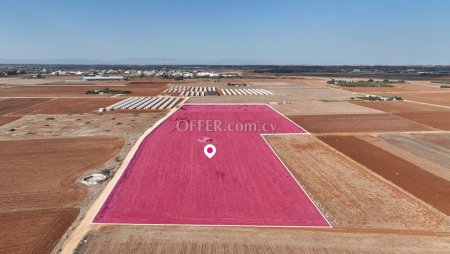 Share of an Agricultural field in Ormideia Larnaca - 2
