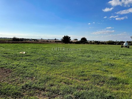 Agricultural Field in Sotira - 6