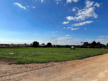 Agricultural Field in Sotira - 5