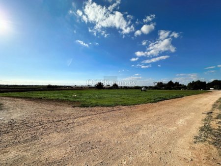 Agricultural Field in Sotira - 4